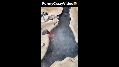 Mr FunnyCrazyVideo😂 Just Incredible Video Funny and Crazy #Like Follow for Follow 🥰