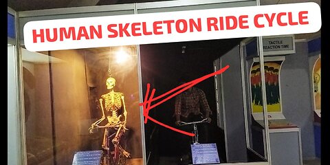 Human skeleton ride cycle, amazing science