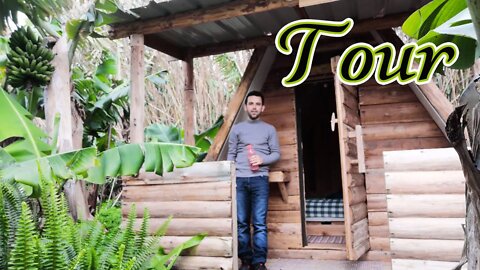 Tour Of Natural Wooden Cabin In A Banana Tree Farm | Terceira - Portugal