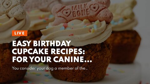 Easy Birthday Cupcake Recipes: For Your Canine Best Friend