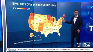 Potential new strategy for COVID-19 vaccines