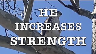 He Increases Strength - Isaiah 40: 28-29