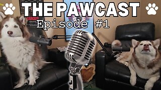 The Pawcast 🐾 | Ep#1