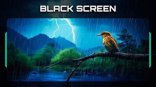 White Noise Black Screen: Gentle Rain, River Sounds, Birds Chirping, Rain and Thunder Sounds 4K