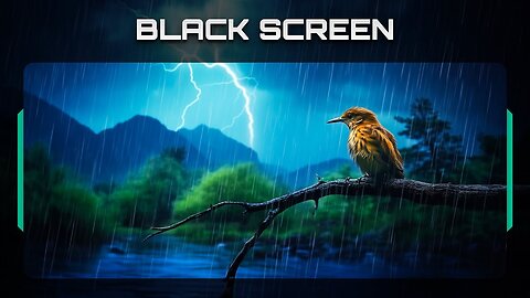 White Noise Black Screen: Gentle Rain, River Sounds, Birds Chirping, Rain and Thunder Sounds 4K