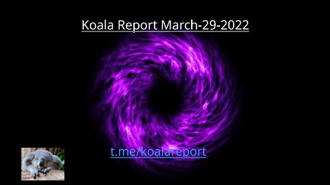 Koala Report March 29th 2022 UPDATE!