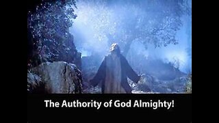 TECN.TV / MSNBC Questions The Authority of God: They Came for the Jew; Now, The Christian