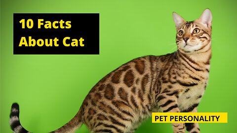 10 facts About Cats | Interesting facts 🐱🐱🐱