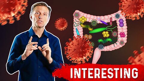 Gut Bacteria and Viruses