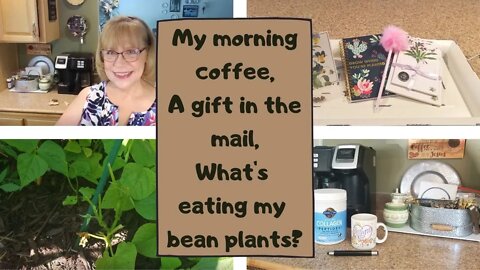 Morning coffee / A gift in the mail / What's eating my bean plants? 😉 Ephesians 1:1-3