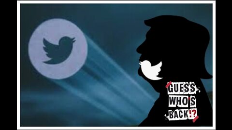 🥳"THE MOMENT ELON MUSK ALLOWS (YOUR FAVORITE PRESIDENT) DONALD TRUMP BACK ON TWITTER"🥳