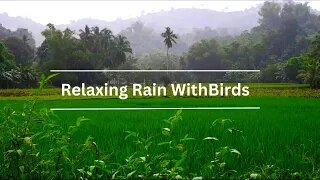 Heavy Rain To Sleep Immediately - RAIN SOUNDS For Sleeping and Stress Relief.