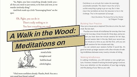 A Walk in the Wood: Meditations on Mindfulness with a Bear Named Pooh