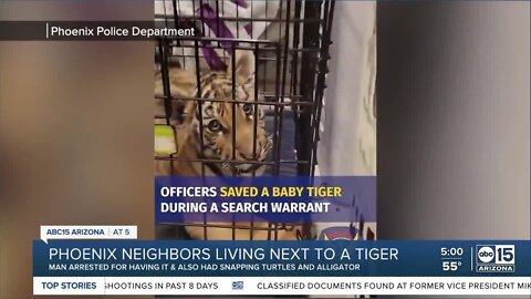 Man arrested by Phoenix police for trying to sell a tiger cub online