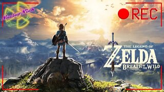 The Legend of Zelda: Breath of the Wild | Live Stream | Part 5