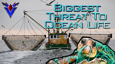 OVERFISHING Is The Biggest THREAT To Ocean Life - Not Straws