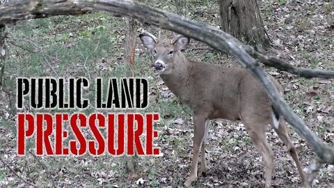 3 Valuable Public Land Deer Hunting Tips