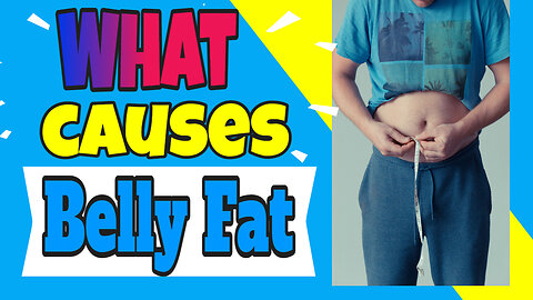 What causes Belly Fat