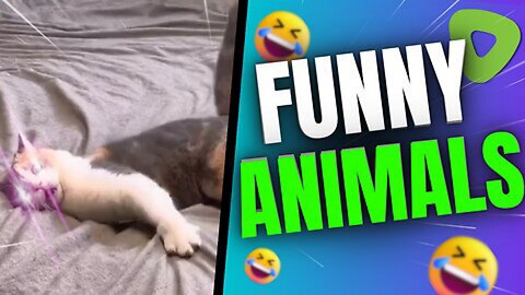 Funny animals, cats&dogs and many moreeeee 🤣🤣🤣🤣🤣🤣🙉🙈