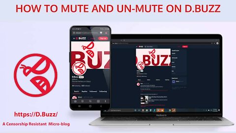 How to Mute and un-Mute on D.Buzz