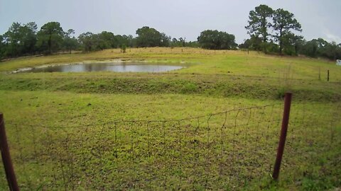 Friday Thunderstorm at Venus Ranch..