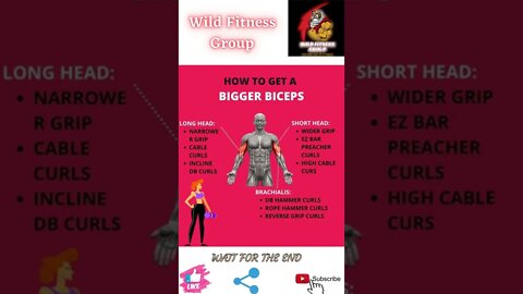 🔥How to get a bigger biceps🔥#shorts🔥#wildfitnessgroup🔥8 April 2022🔥