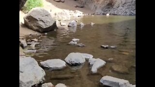Jump Creek falls Trailhead