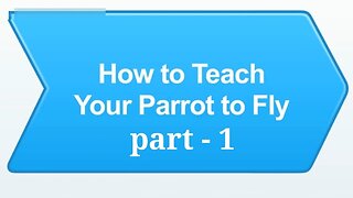 How to teach your parrot to Fly | parrot training part - 1 Easy steps...