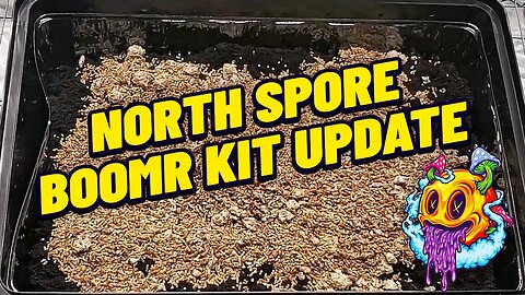 North Spore Boomr Bag Kit Update | Boomr Kit EP5