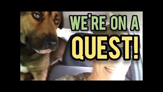 We're On a QUEST! - Ann's Tiny Life and Homestead