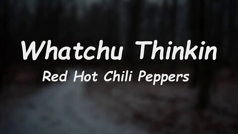Red Hot Chili Peppers - Whatchu Thinkin (Lyrics)