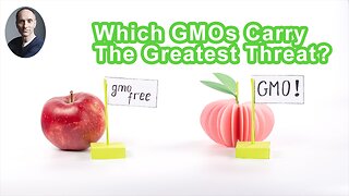 Which GMOs Carry The Greatest Threat?