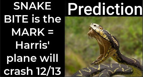 Prediction - SNAKE BITE prophecy = Harris' plane will crash Dec 13