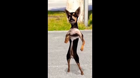 cute animal dance 👌😊🔥
