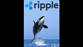 XRP & Ripple!