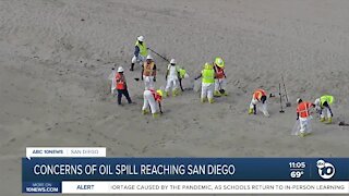 Surfrider Foundation CEO addresses Orange County oil spill, concerns of spread to SD County