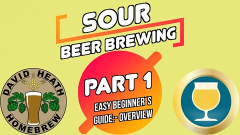 Sour Beer Brewing Beginners Guide 🍺 Part 1 Overview