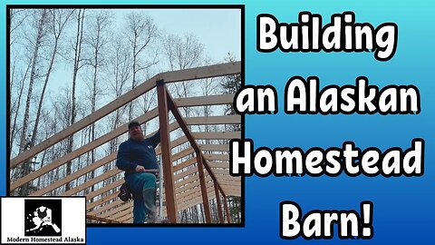We built a barn In 7 days for our Modern Homestead in Alaska. First look at our new barn. #alaska