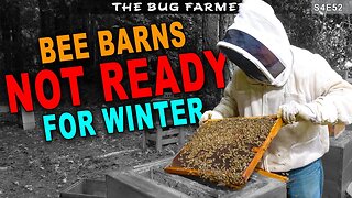 Bee Barns in Trouble | Find the Wax Moth #beekeeping #bees #bugfarmer