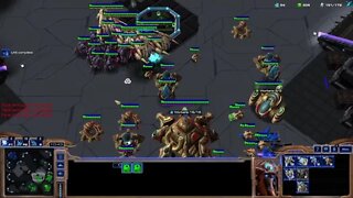 Session 4: Starcraft II (1v1 matchmaking as random) - -