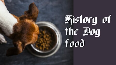 History of the Dog Food