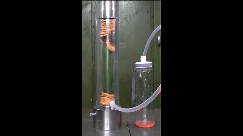 Hydraulic pressure experiment on vegetables