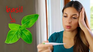 How to Reduce a Fever Naturally Using Basil