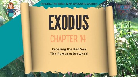 Exodus Chapter 14 | NRSV Bible Reading