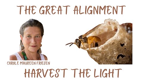 The Great Alignment: Episode #39 HARVEST THE LIGHT