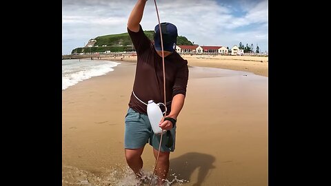 Worlds Longest Beach Worm