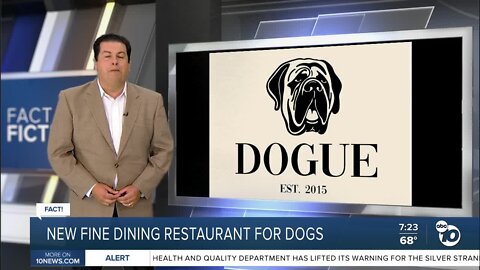 Fact or Fiction: Fine dining restaurant opens restaurant for dogs in San Francisco?