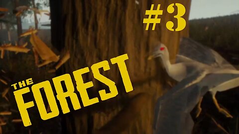 The Forest v0.31b | Part 3 | Building the Base and Checking Out the Yacht!.- Gameplay Let's Play