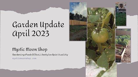 Garden Update April 2023 Grow Your Own Food