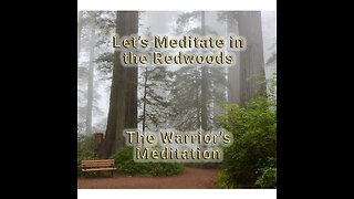 Walking with The Warrior's Meditation in Stout Grove